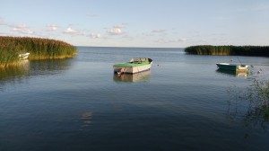 IMG_20170824_185247169